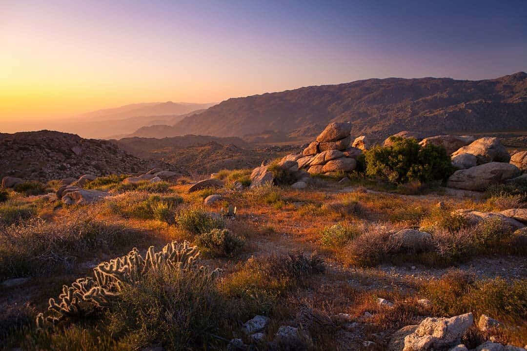 Anza-Borrego Desert State Park