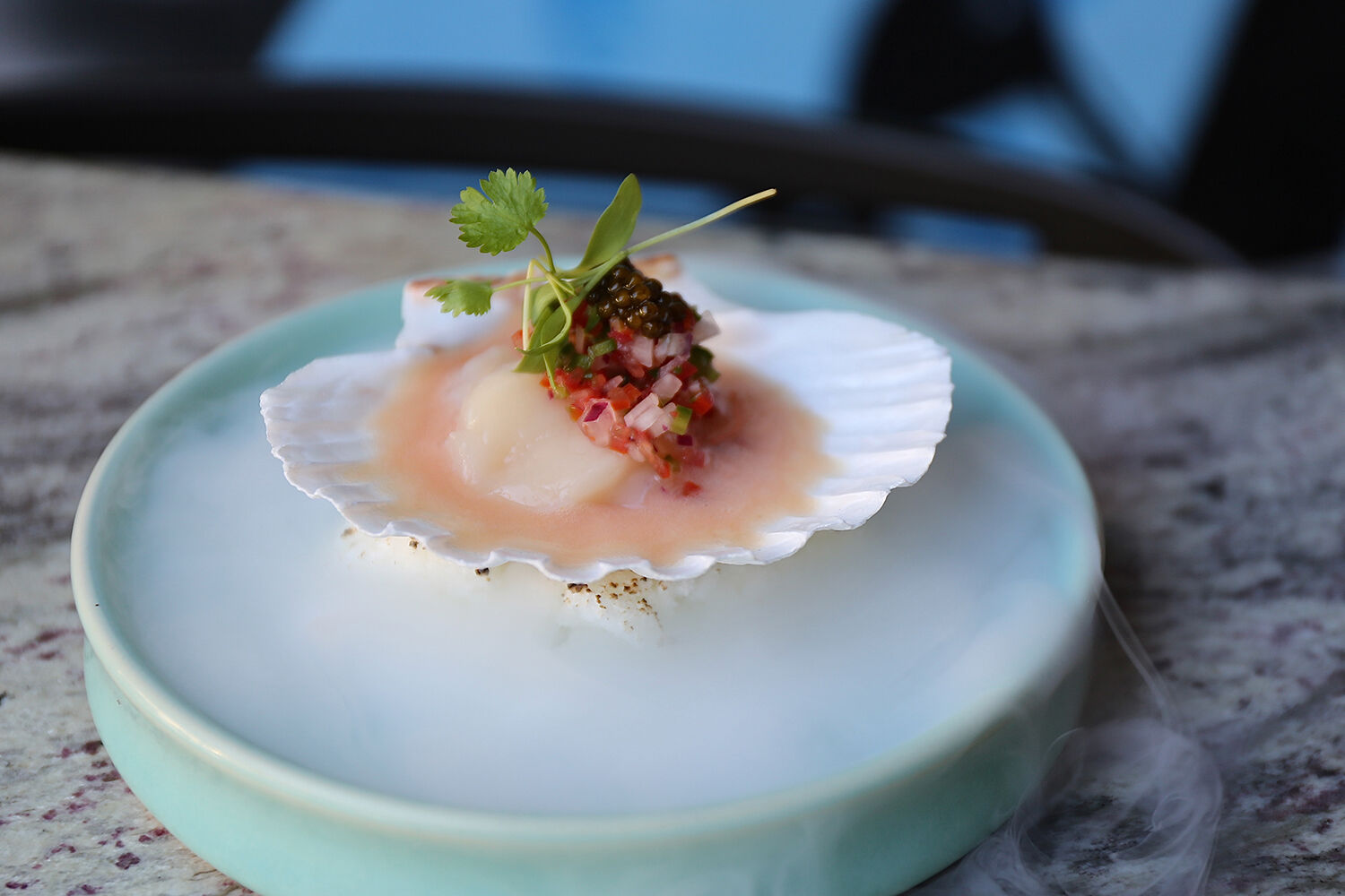 SDM - LUMI - HokkaidoScallopCeviche.jpg