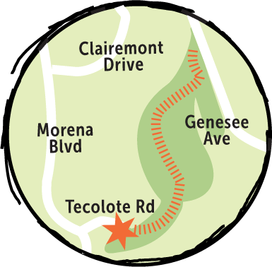 Trail of the Month: Tecolote Canyon Trail