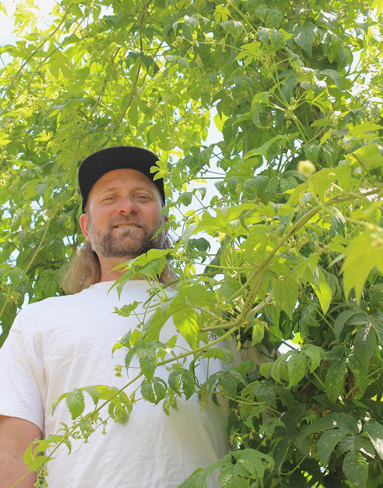 Inside San Diego's Largest Hop Farm