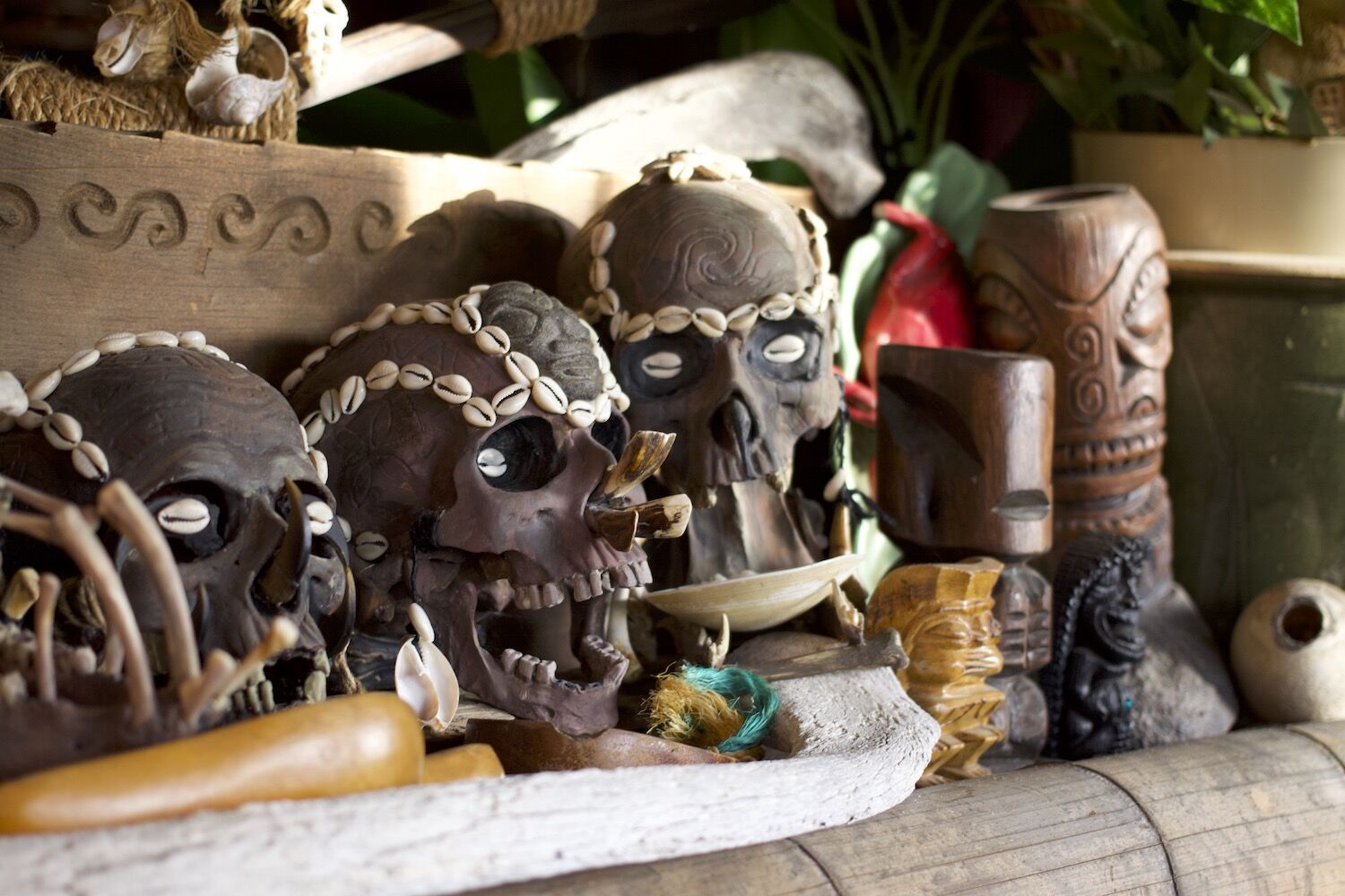 Home Tiki Bar San Diego Matt Reese Skulls