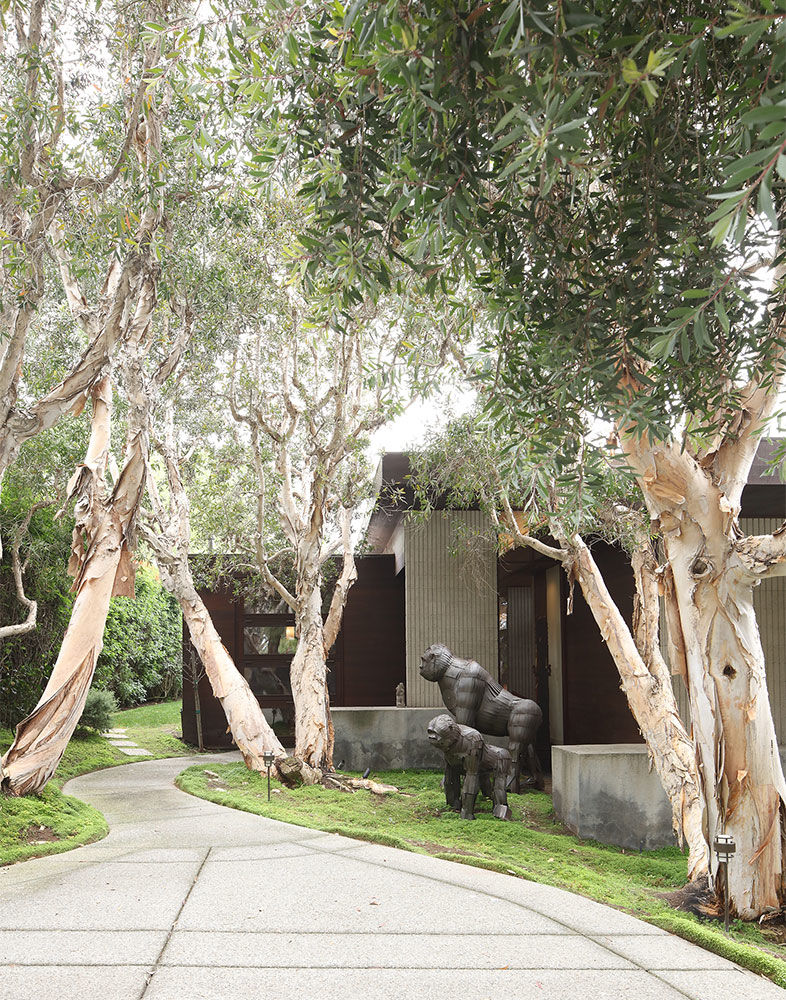 This Encinitas Abode Doubles as Both a Home and a Gallery