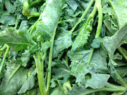 Local Bounty: July 1