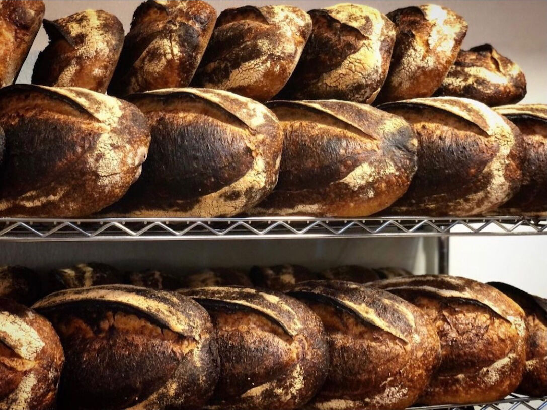 Wayfarer Bread / Sourdough Bread