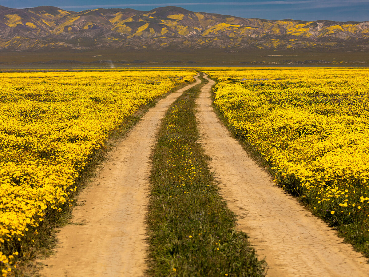 Road Trips / New Cuyama