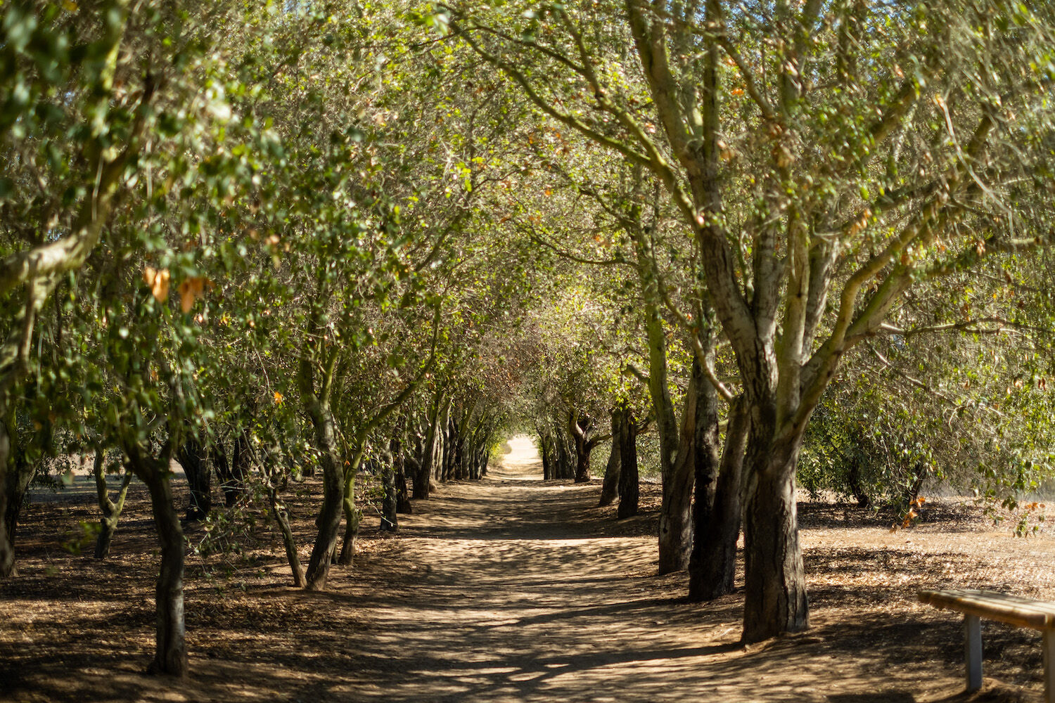 Poway - main