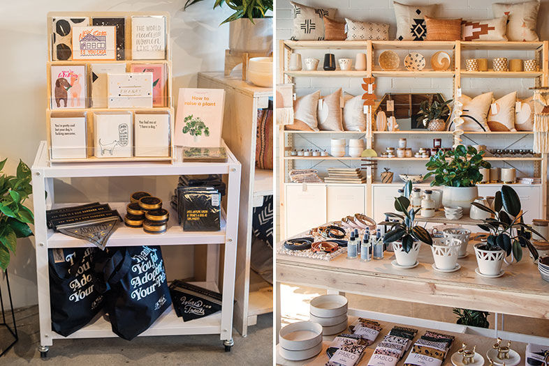 North Park's New Home Décor and Dog Garb Shop
