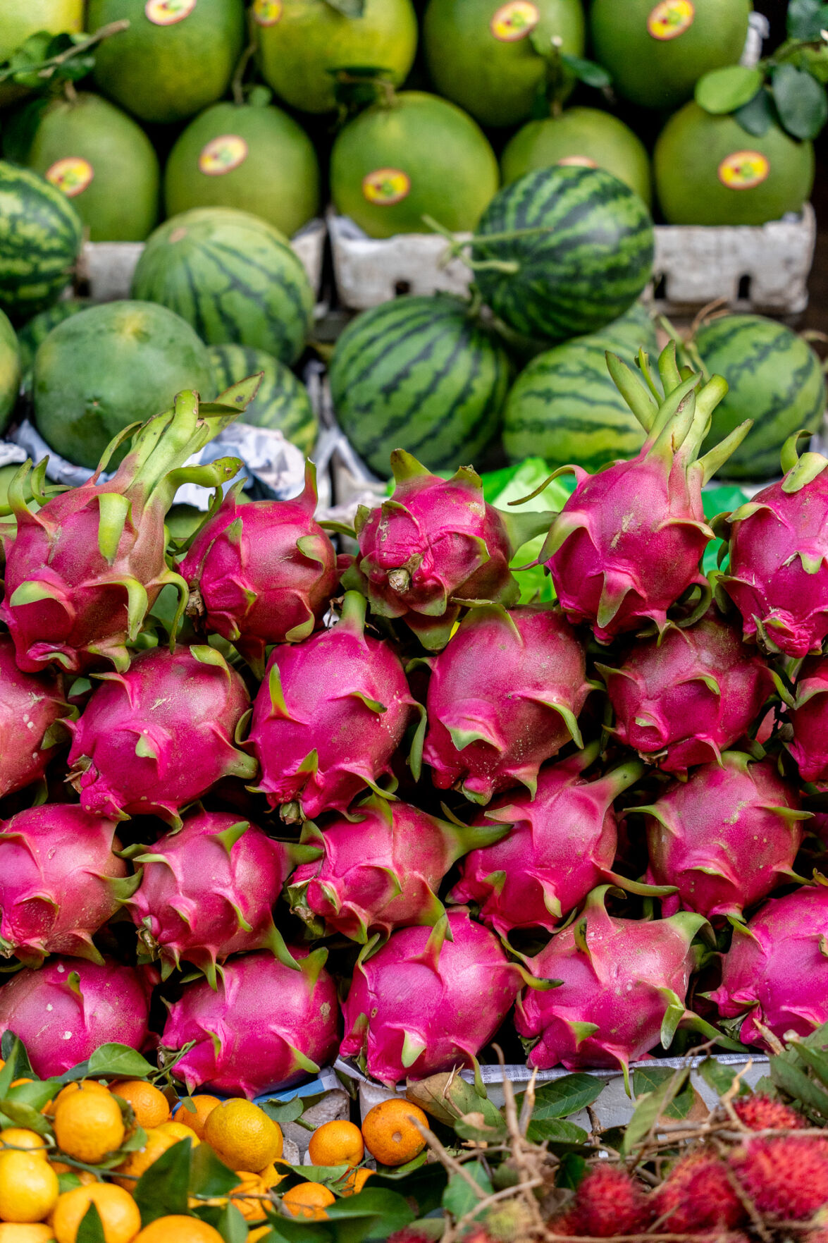 Dragon Fruit Vetnam James Tran