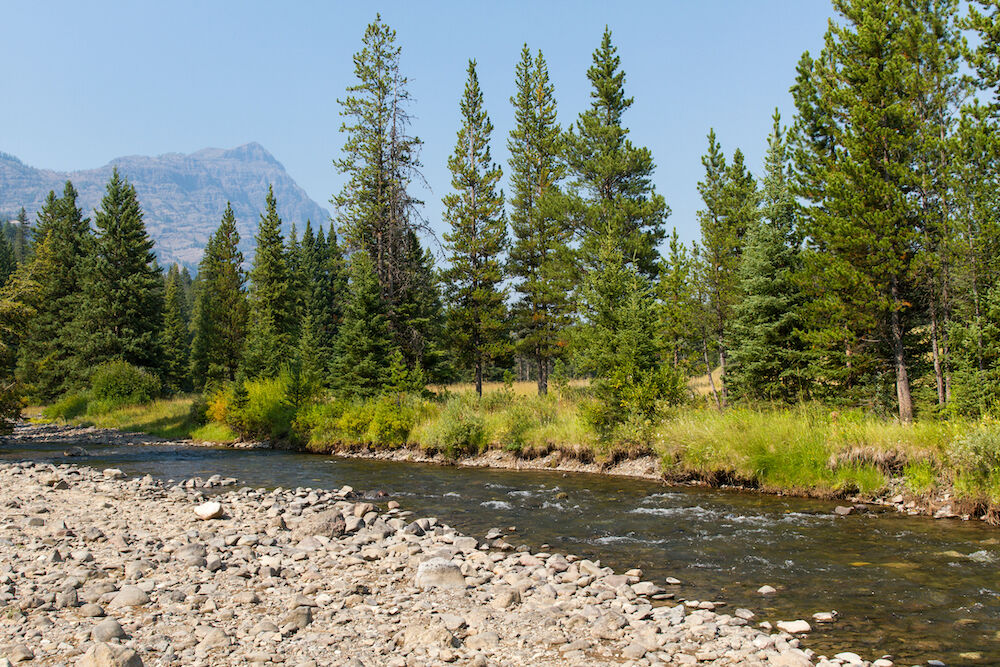 Montana - Lamar River