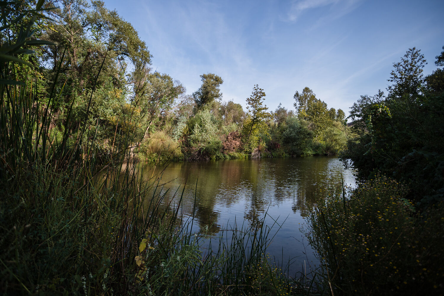 Fallbrook - Santa Margarita