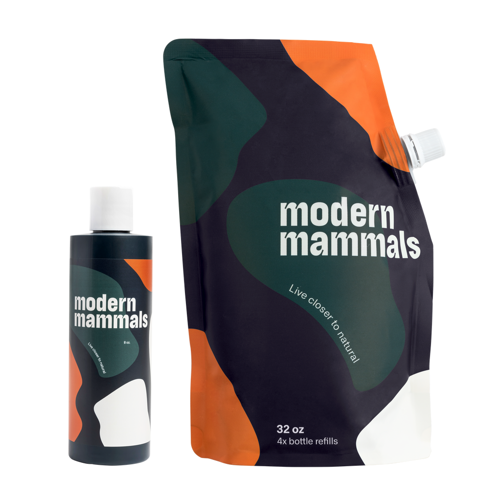 Modern Mammals.png