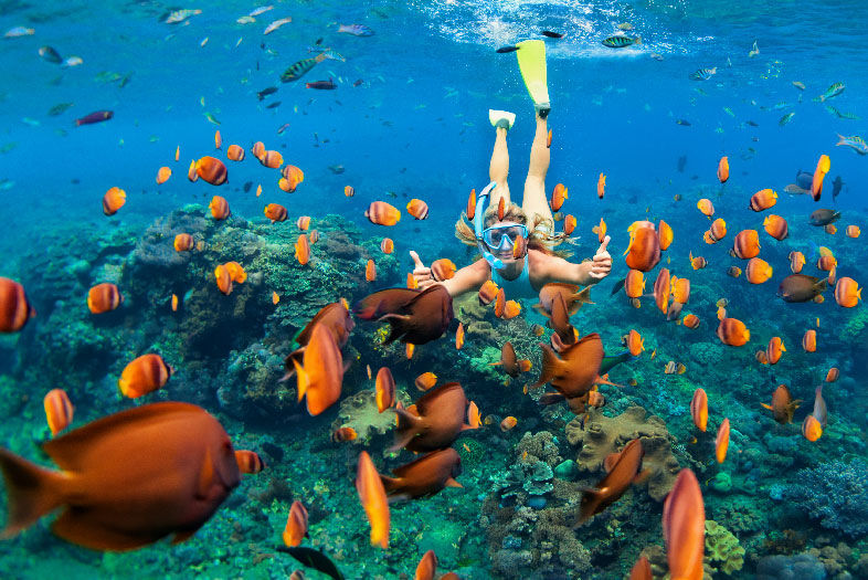 Family Adventures Across Hawai‘i