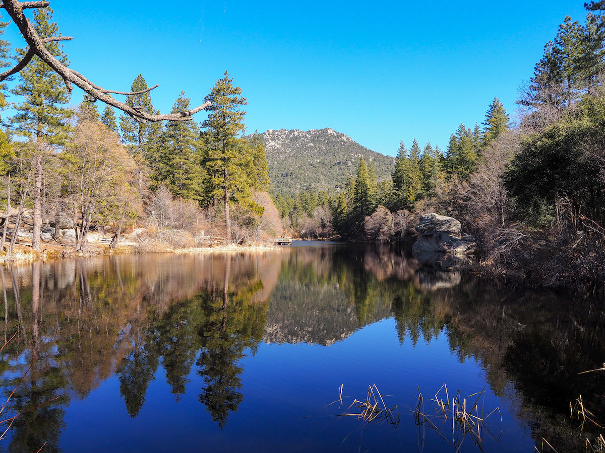 Winter Guide to Idyllwild 6