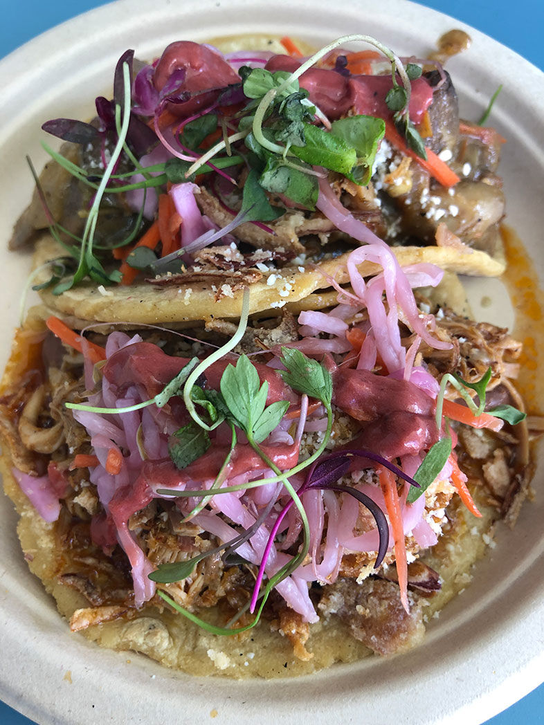 Very Important Taco: Pork Birria and Funghi Ranchero Tacos