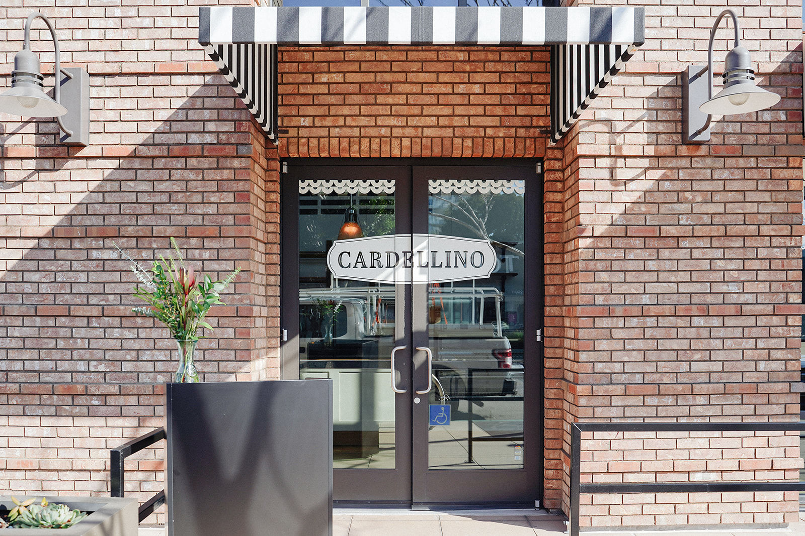 First Look Cardellino 2