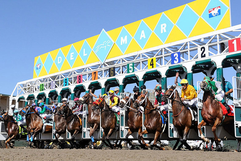 The Ultimate San Diego Bucket List