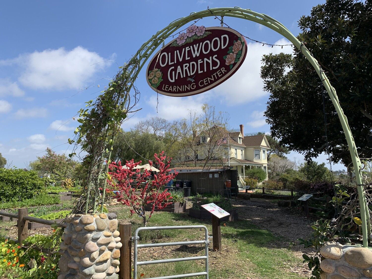 olivewood-gardens-sdm1122.jpg