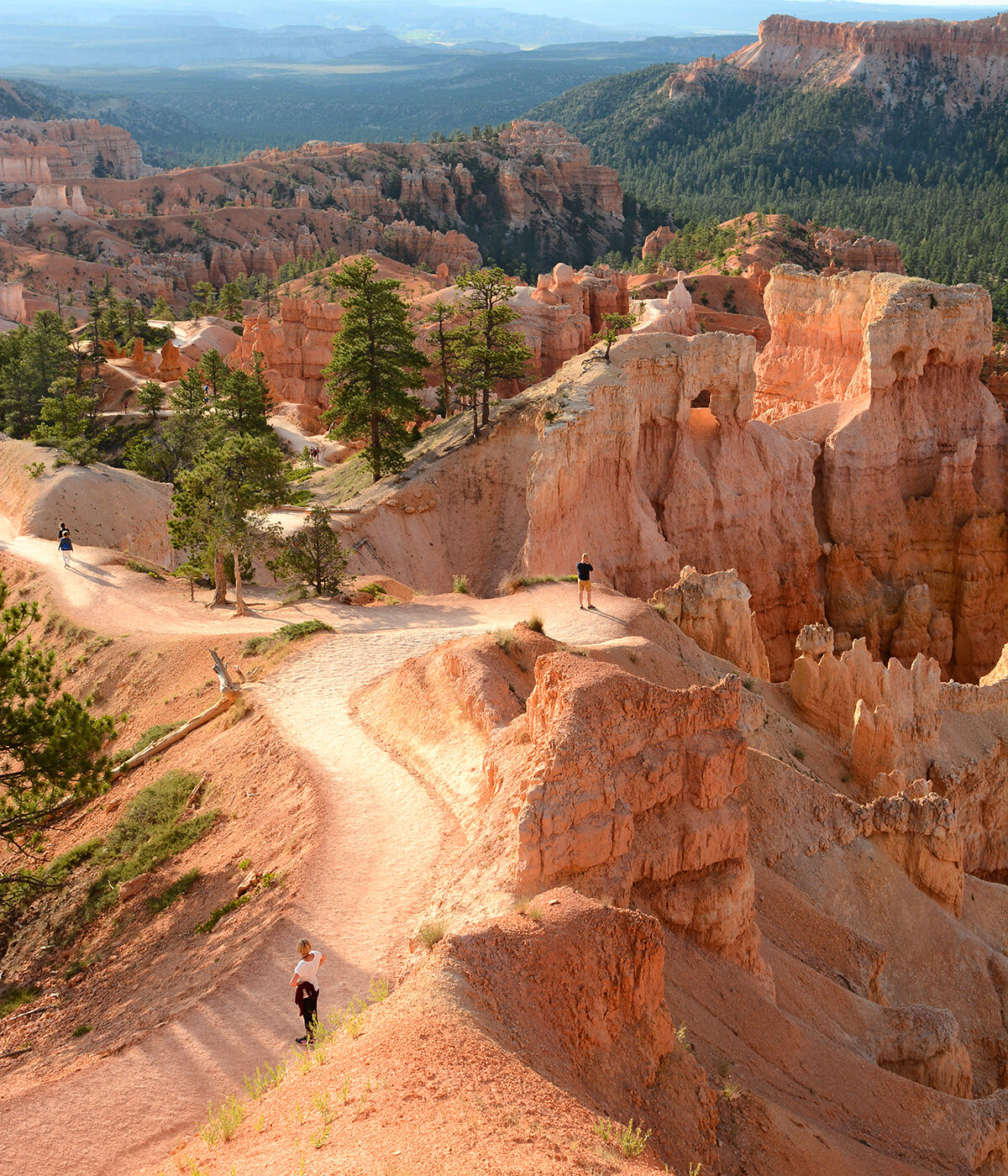 Road Trips / Bryce Canyon, Utah