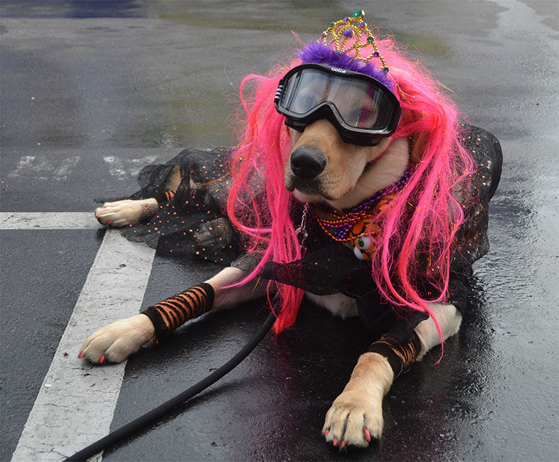 Padres Pedal the Cause Presents Check to Local Researchers