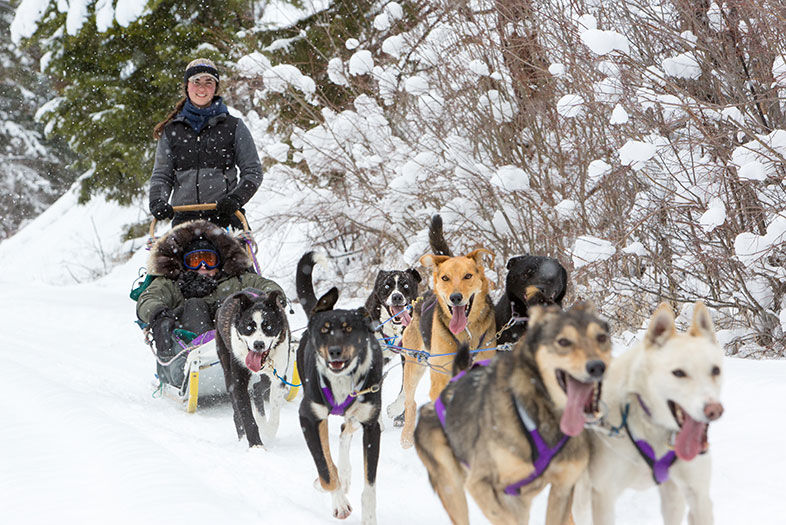 Hit the Big Time at Montana's Triple Creek Ranch