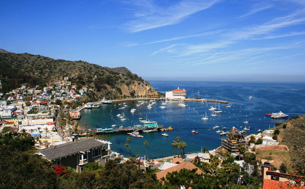 Island Time in Catalina