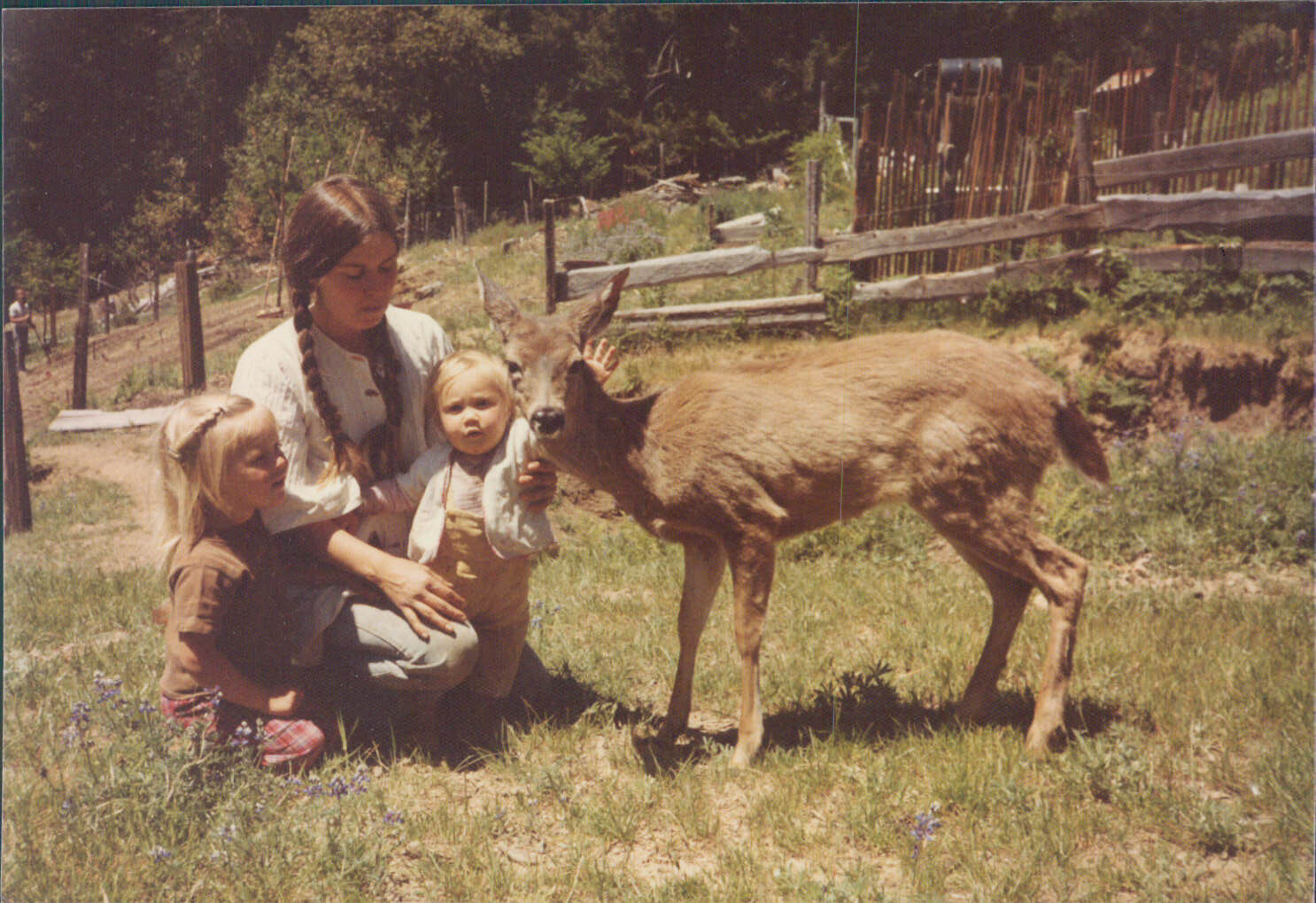 Humboldt Family Farms, 1975 photo