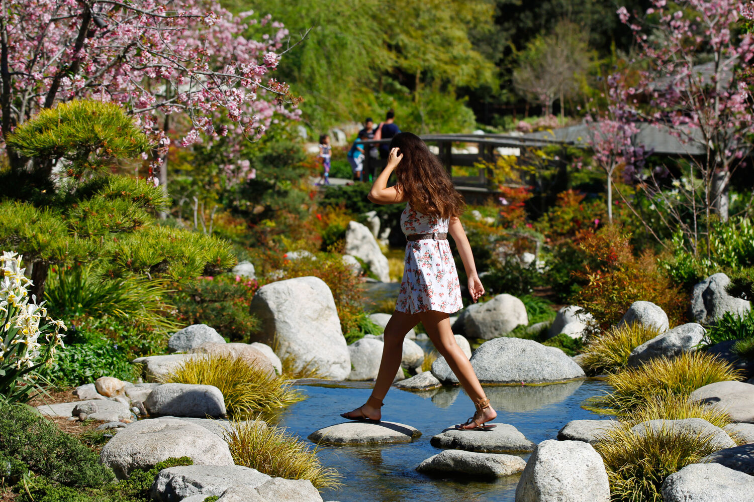 Balboa_Park_Japanese_Friendship_Garden_239 (1).jpg