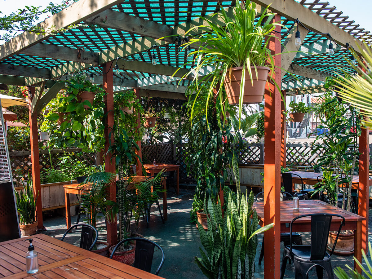 Vegan Patios / Donna Jean