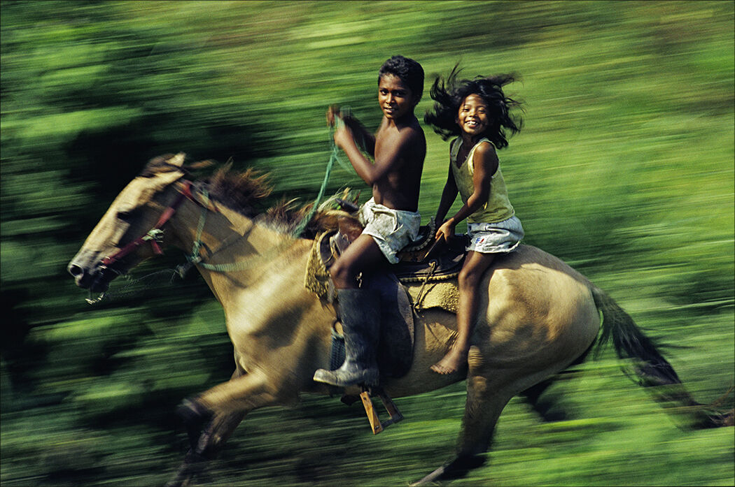 Don Bartletti - Chiapas Racers