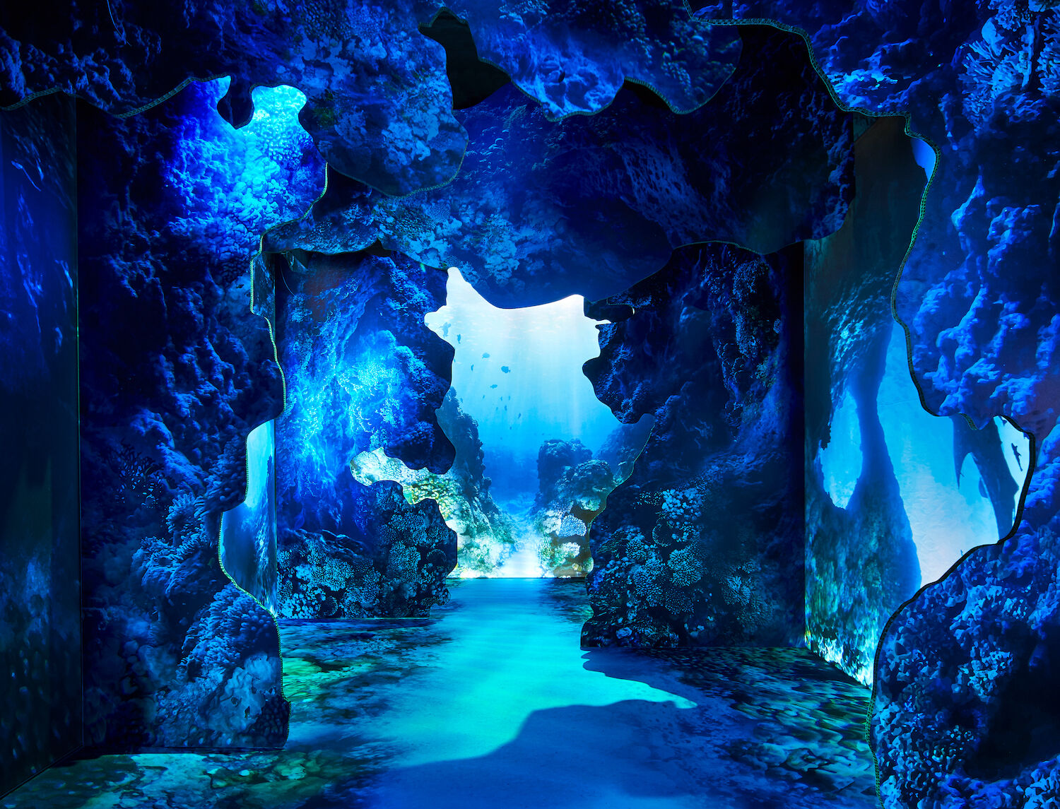 Arcadia Earth, cave
