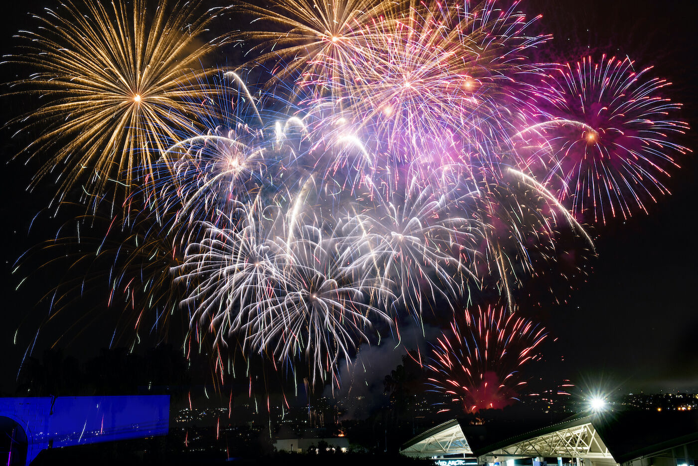 Veterans Day - Fireworks at Seaworld