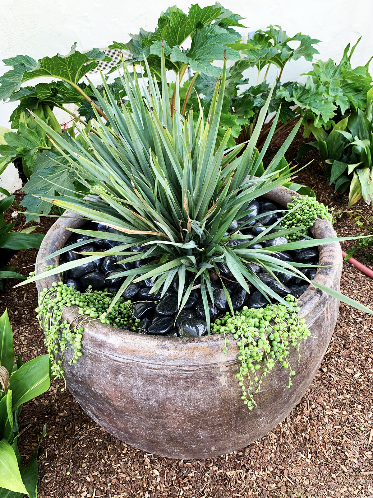 Outdoor Space / Succulent Pot