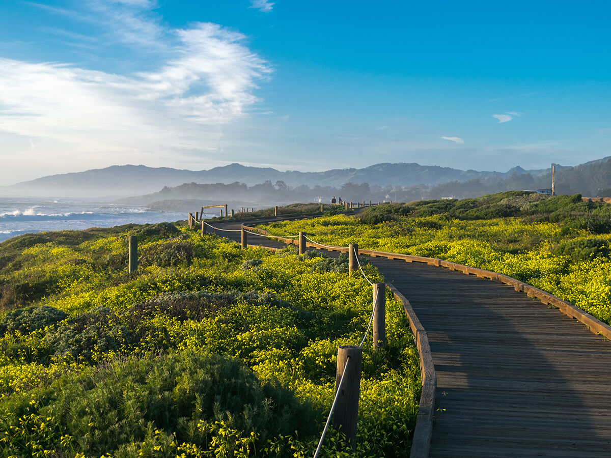 Road Trips / Central Coast