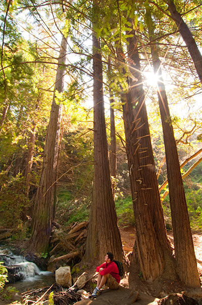 The Lure of Big Sur