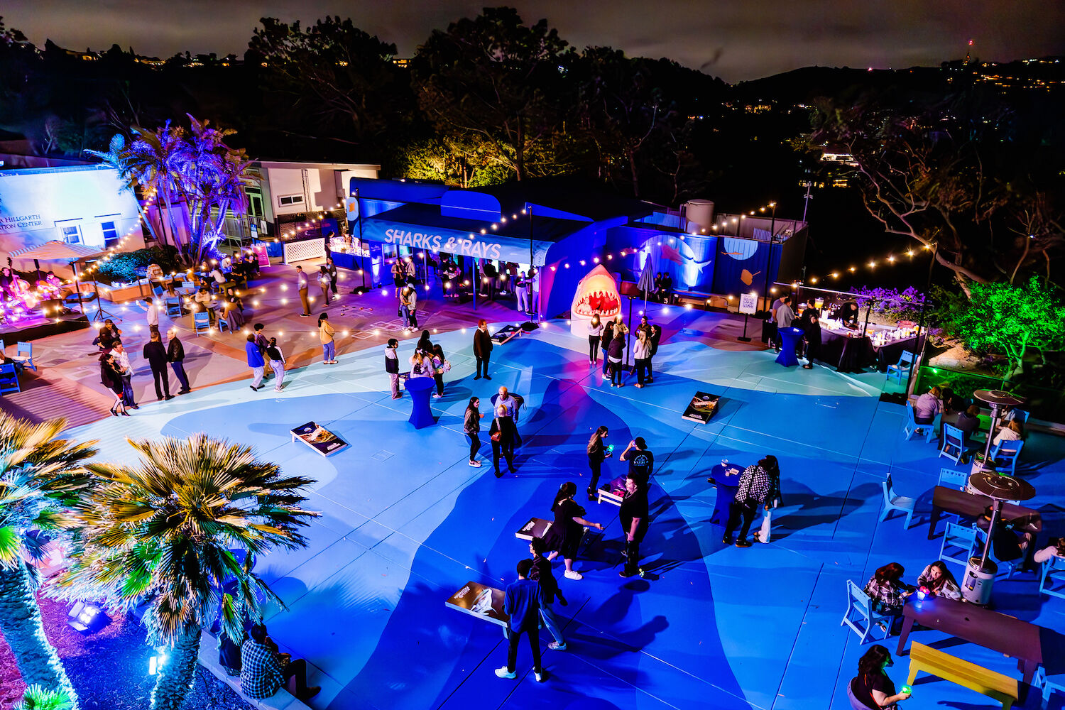 Birch Aquarium Oceans at Night