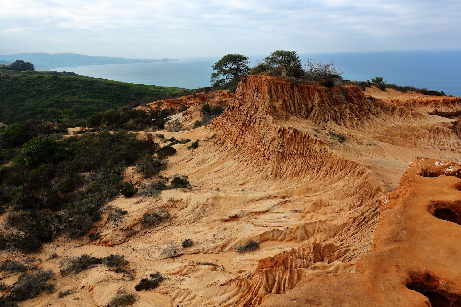 Torrey Pines Reserve Trail Hiking San Diego