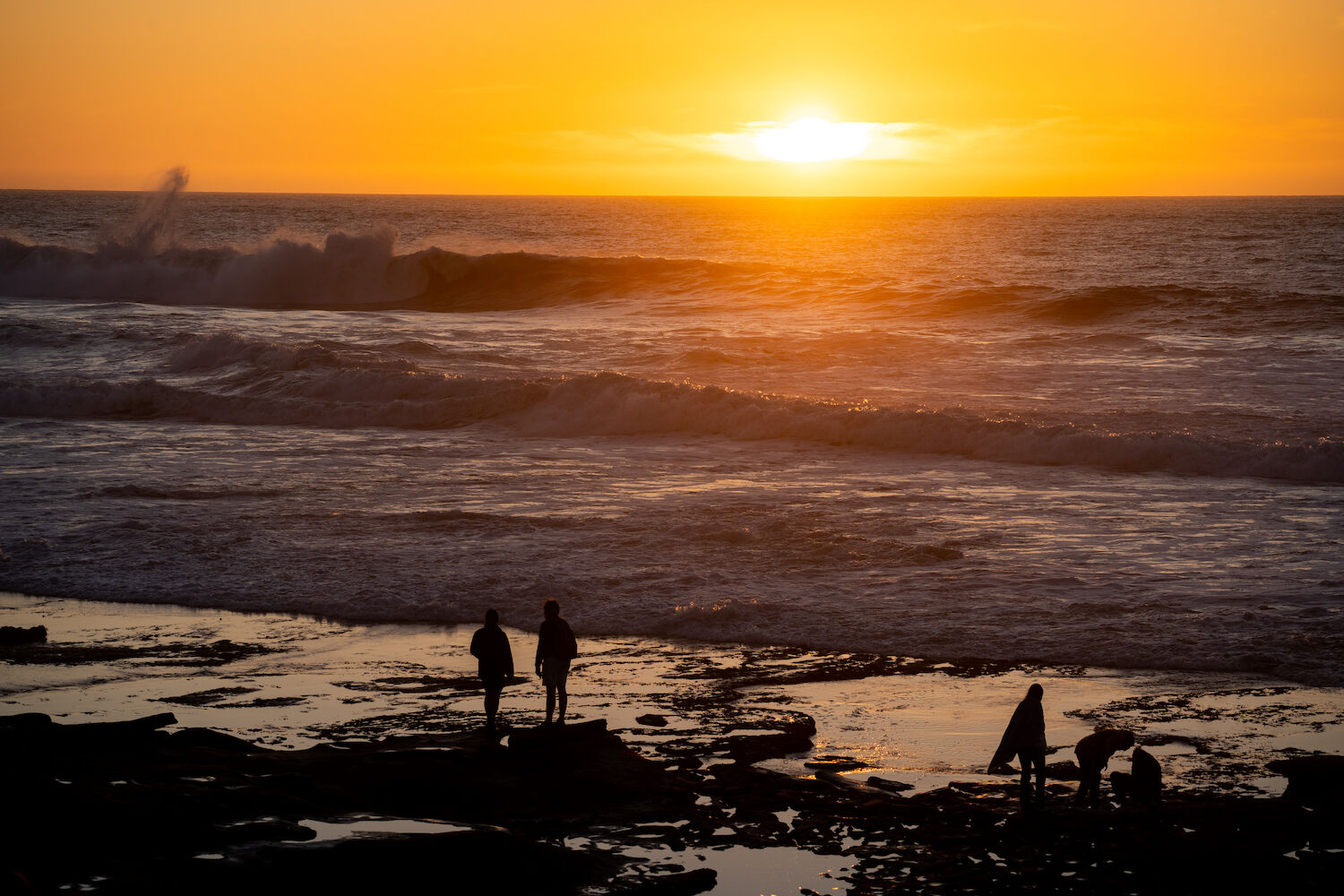 San Diego Grunion Run 2023 Fish Beaches Sunset