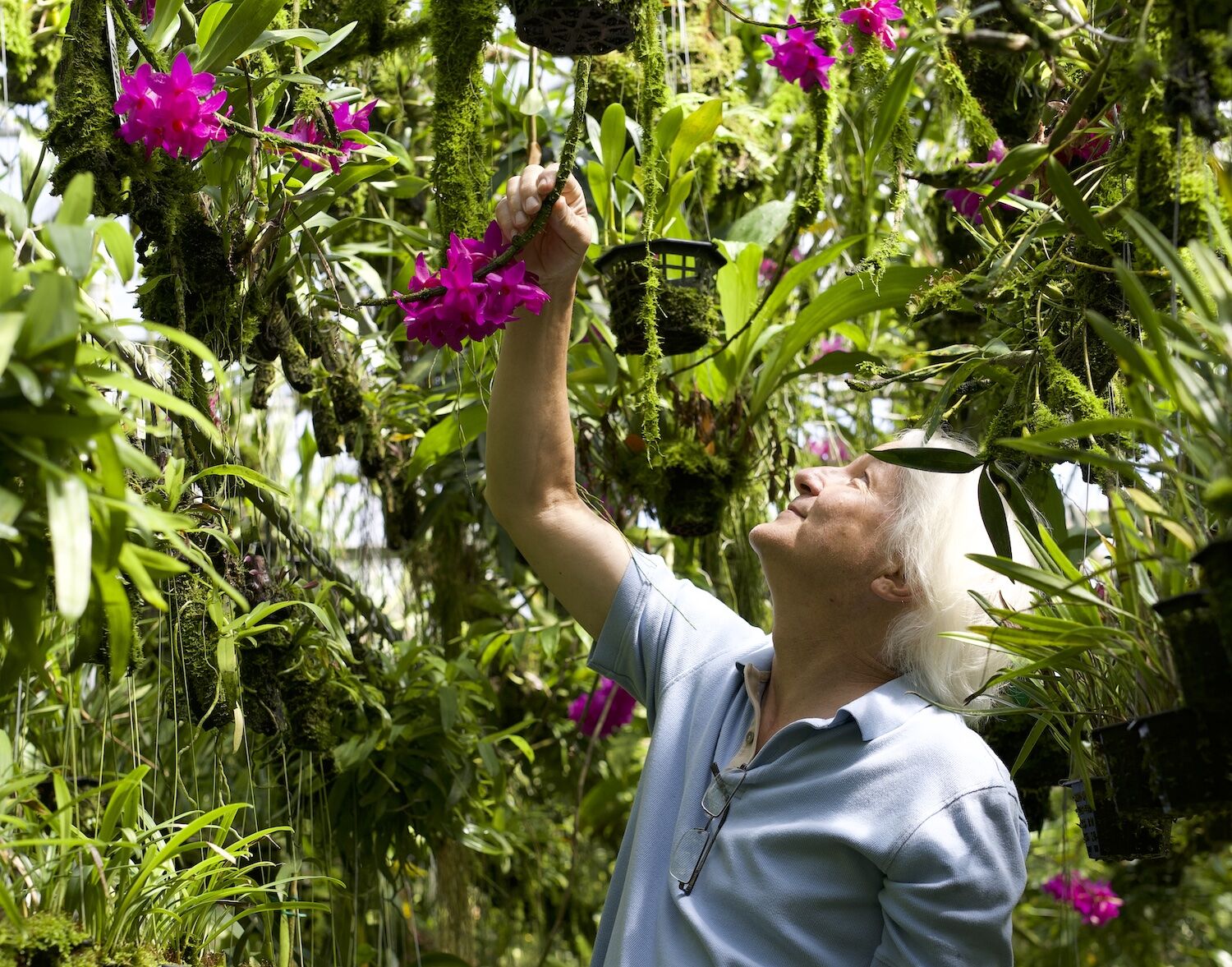 Andy's Orchirds Leucadia Garden Sacred Spaces San Diego