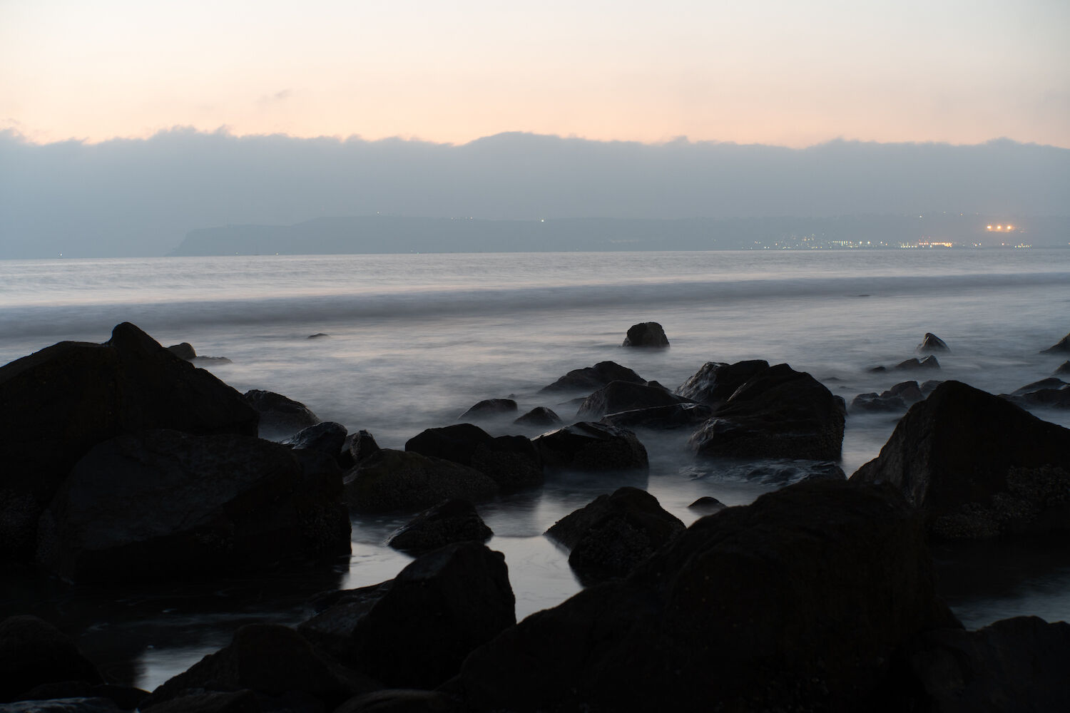 San Diego Grunion Run 2023 Fish Beaches Coronado - 2
