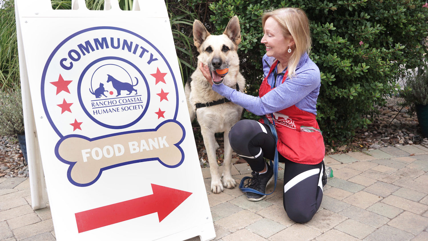 Rancho Coastal Humane Society Dog Clear the Shelters San Diego 2023