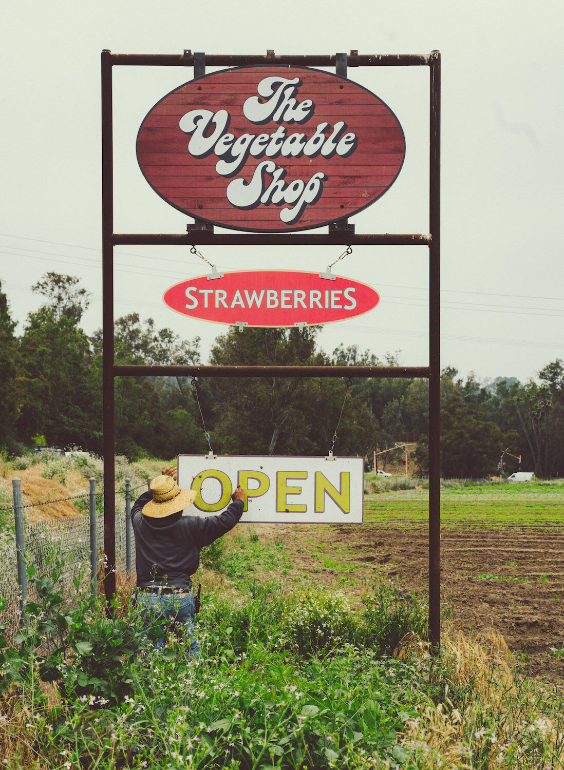 Chino Farms Rancho Santa Fe San Diego 2023 Sign Strawberry