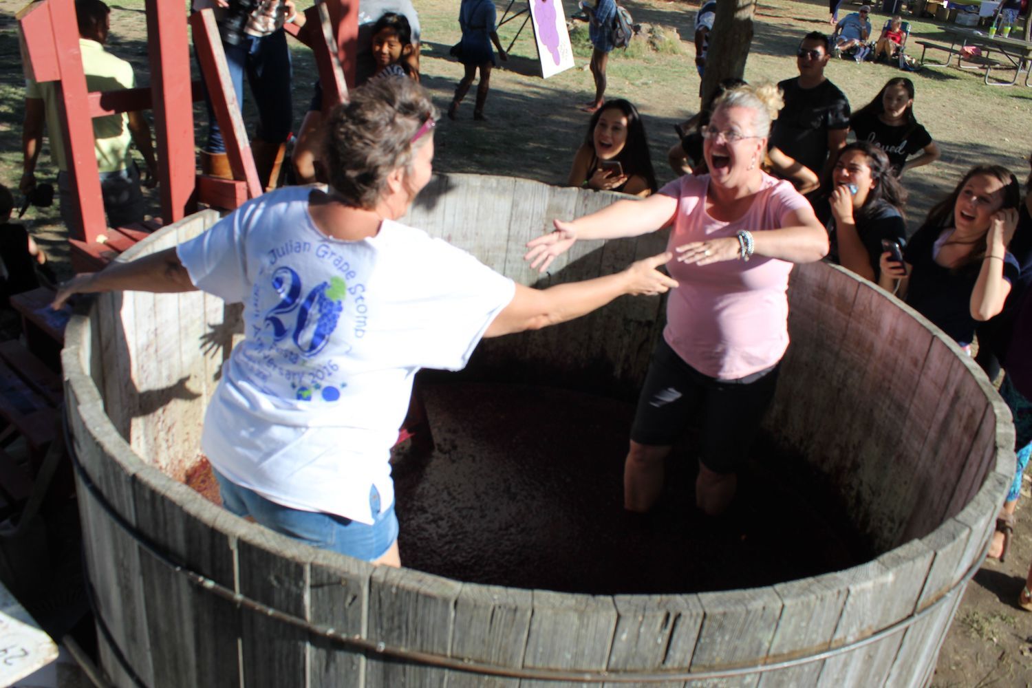 Julian Grape Stomp