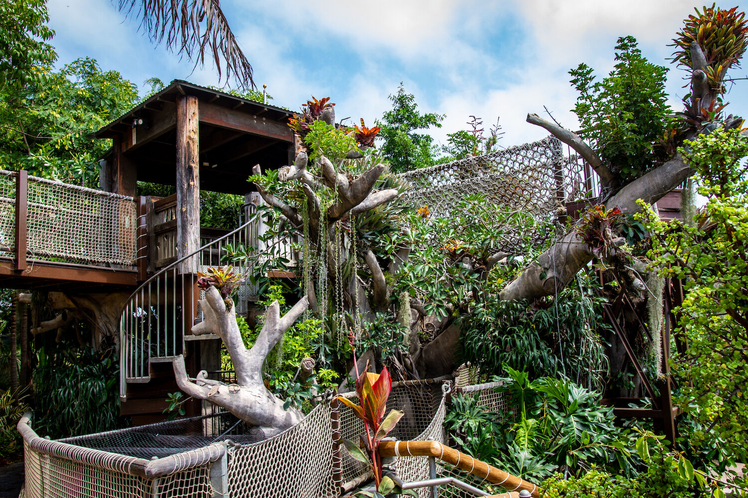 Toni's Tree House San Diego Botanic Garden